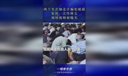 缅北诈骗犯爆料视频播放,视频曝光诈骗团伙内幕